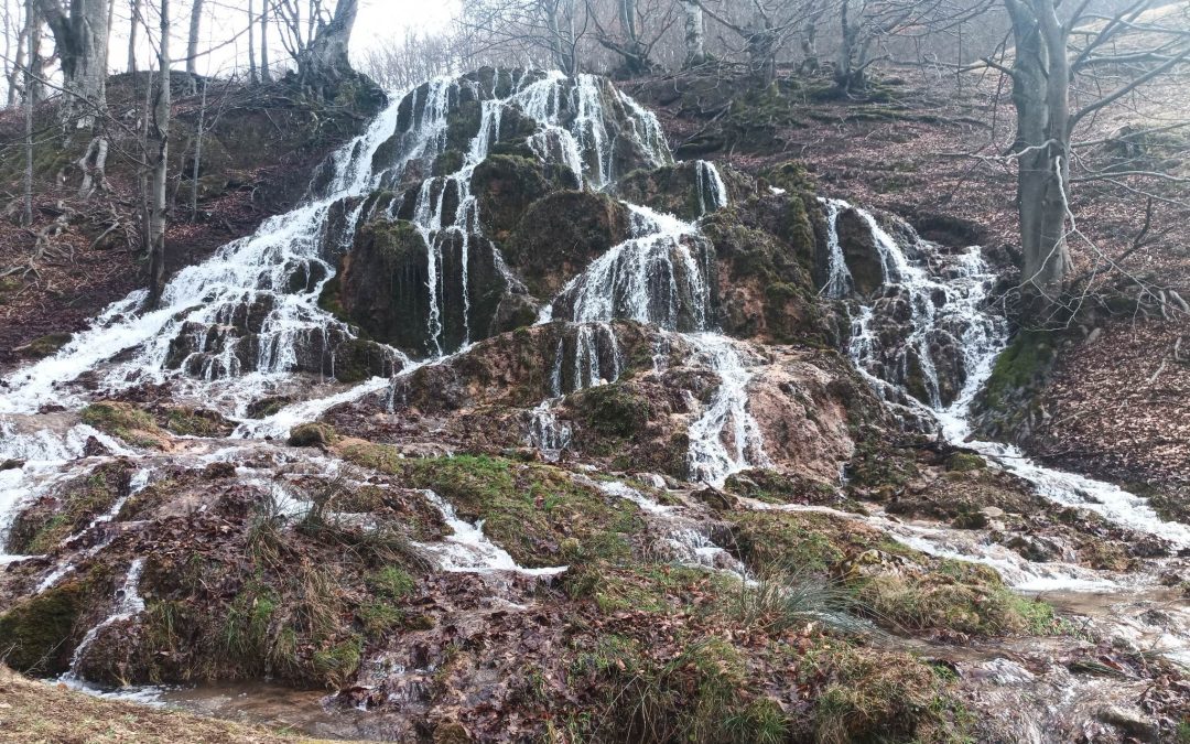 Berettyó-forrás, Danicska Papa emléktúra