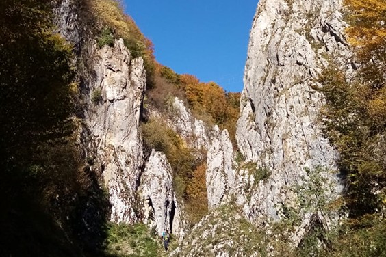 Fehérkő-szurdokvölgy (Valea Cuților)