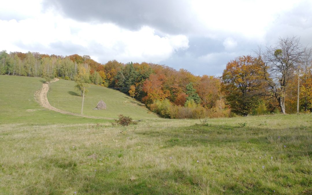 Bulz-Negreni-Bulz gyalogtúra