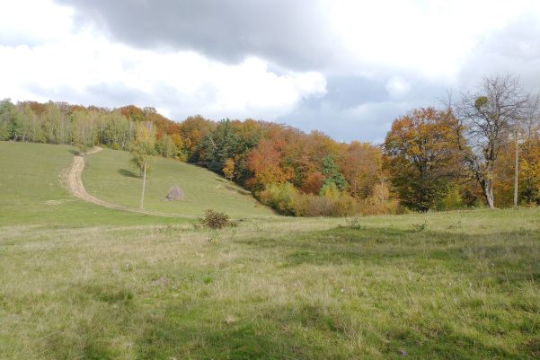 Bulz-Negreni-Bulz gyalogtúra