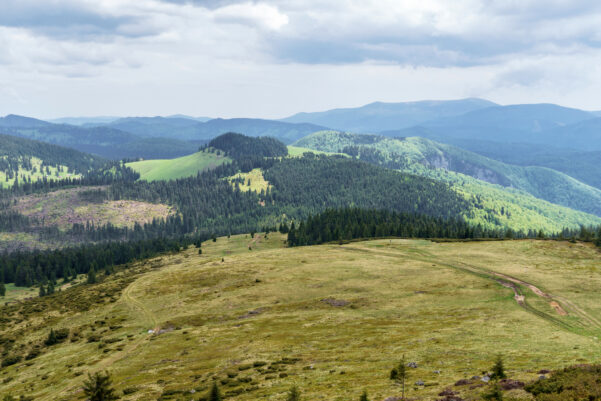 Varasó mh – Sík-havas