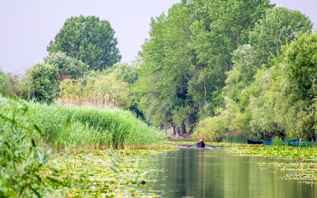 A Duna-delta titokzatos világa