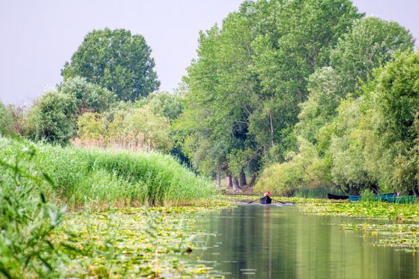 A Duna-delta titokzatos világa