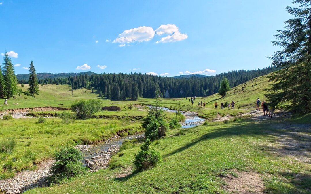 Marossy Anna emléktúra