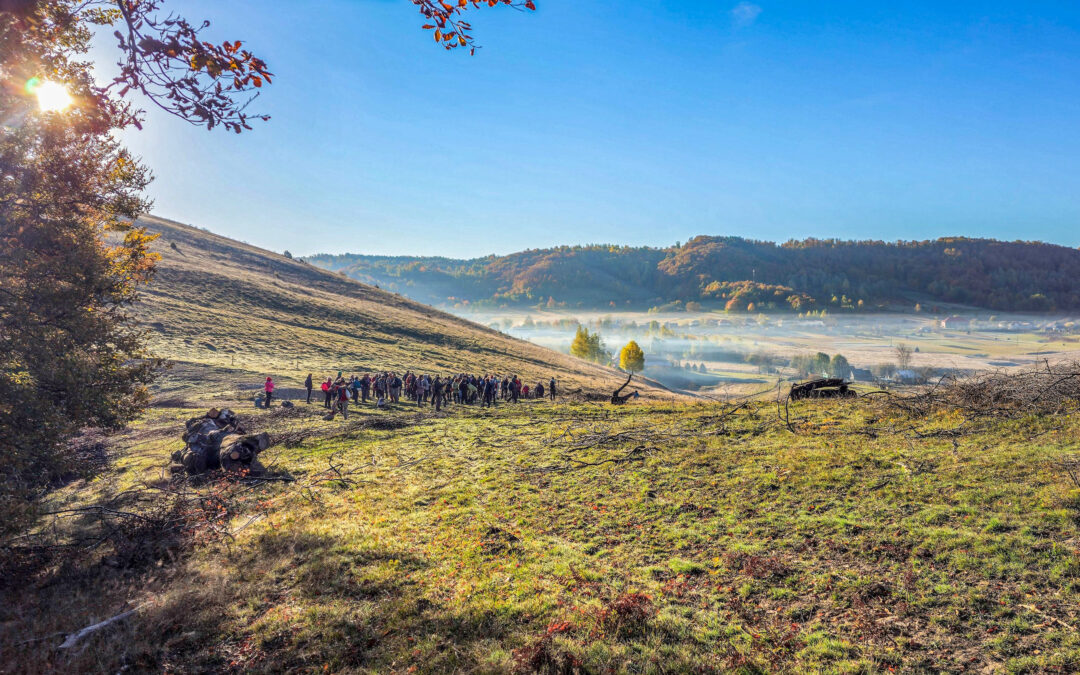 Erdődámosi barangolás