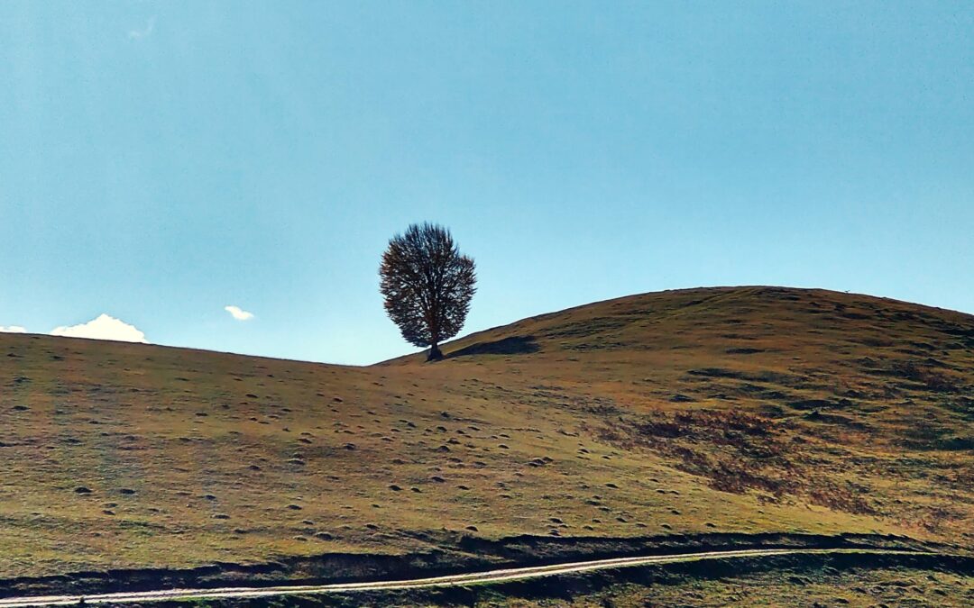 Barangolás Csarnóháza – Barátka környékére