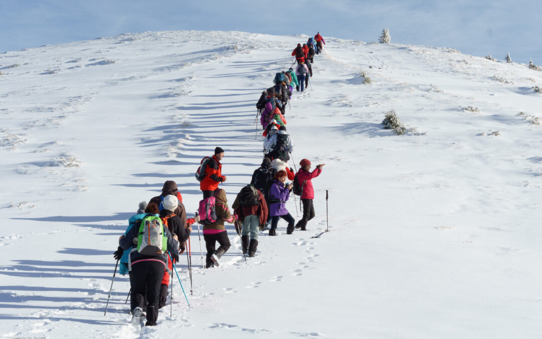 Biharfüredről – Mezőhavas