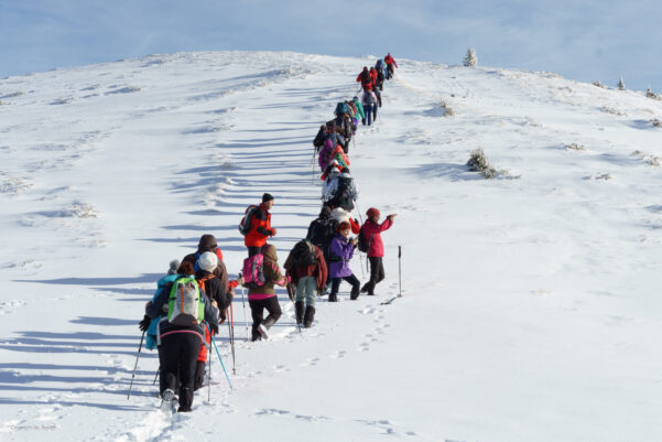 Biharfüredről – Mezőhavas