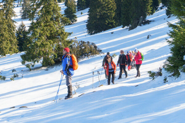 Hótaposó túra Pádison