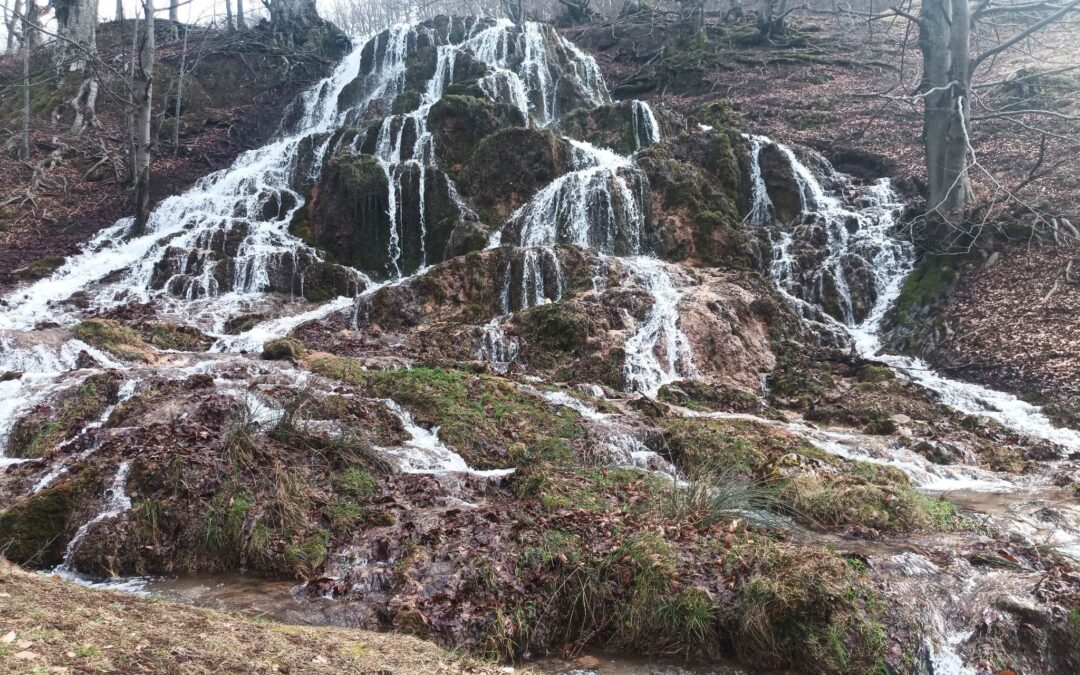 Berettyó-forrás, Danicska Papa emléktúra