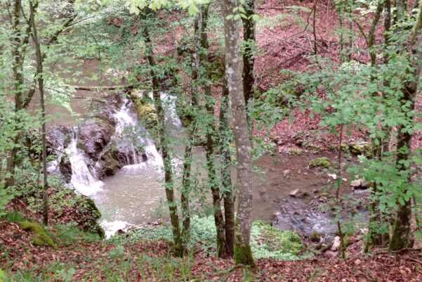Tavaszi túra a Strimtura-szorosba