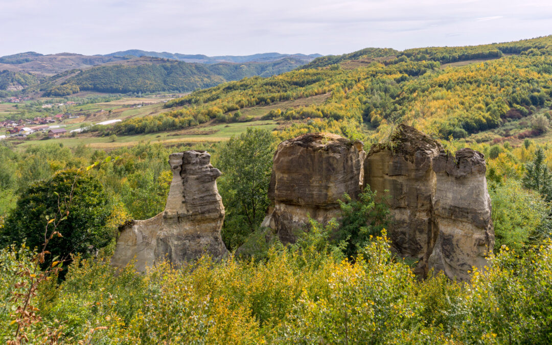Zsibo, Sárkányok kertje