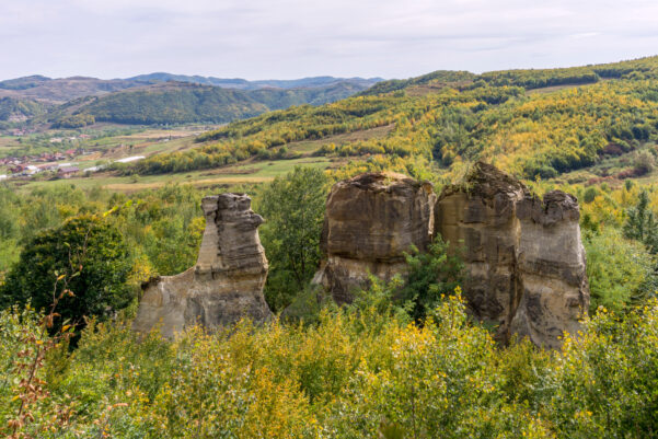A zsibói botanikus kert és a Sárkányok kertje